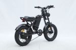 GT-0J2 New Design 16'' Mountain Electric Bicycle Out Door With Fat Tire Ebike